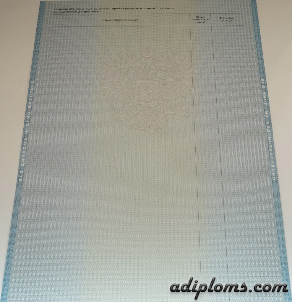 Диплом специалиста 2011-2013 Фото